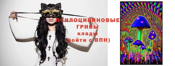ГАЛЛЮЦИНОГЕННЫЕ ГРИБЫ Алзамай