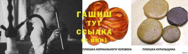 дмт Абаза