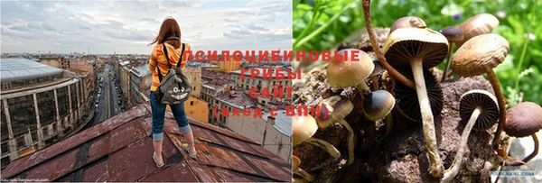 соль ск Абинск