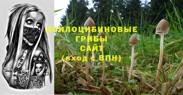 бутират Алексин